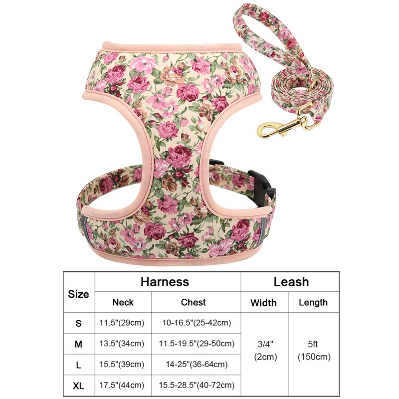 Padded Nylon Harness and Leash Set - Small Dogs