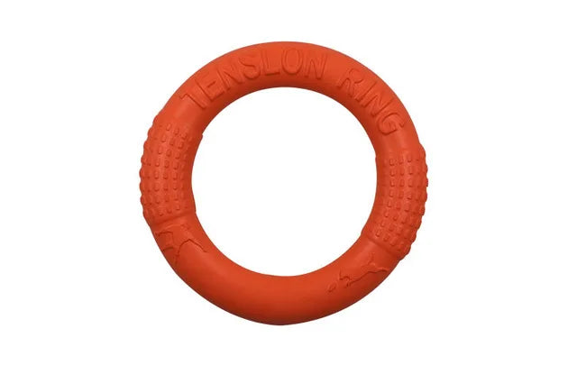 Pet Flying Disk - EVA Outdoor Fetch Toy