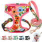 Padded Nylon Harness and Leash Set - Small Dogs
