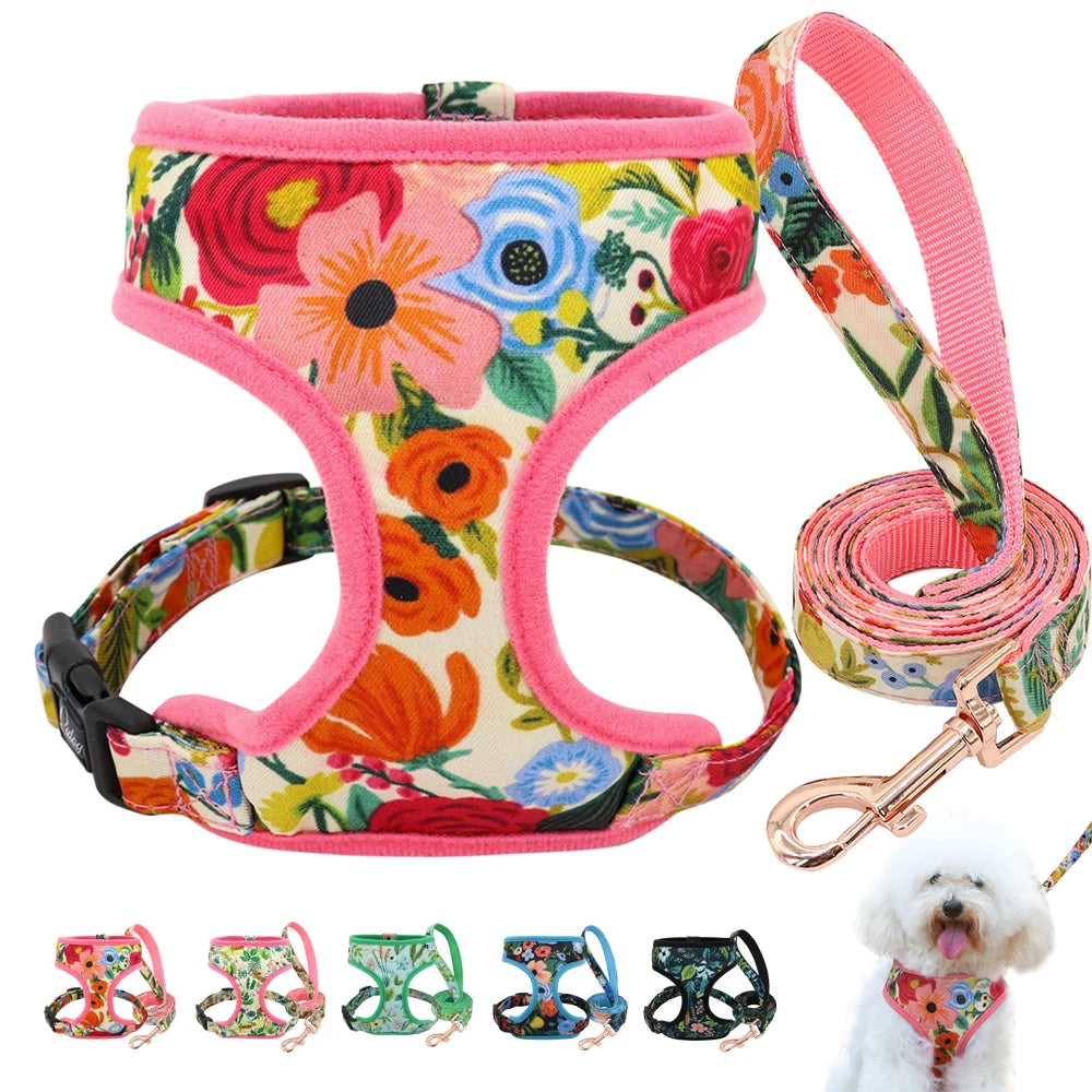 Padded Nylon Harness and Leash Set - Small Dogs