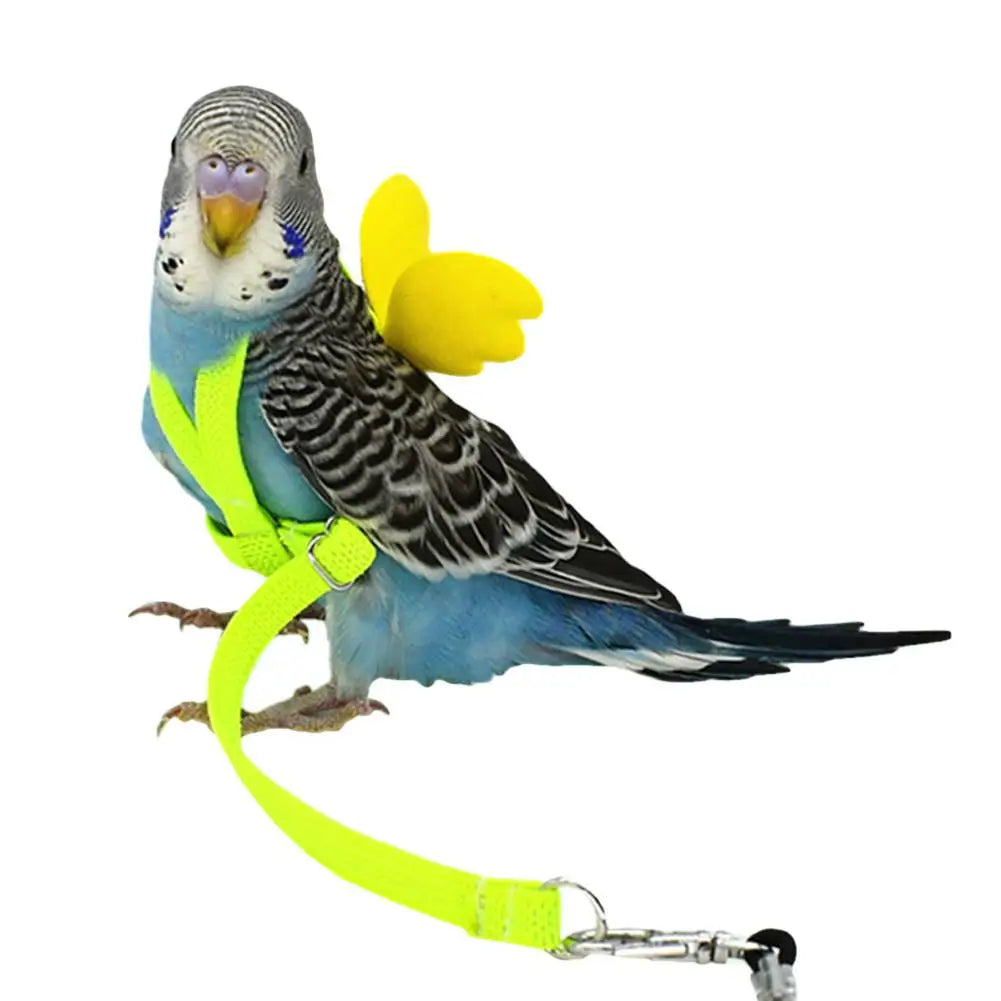 Adjustable Bird Harness Leash Set