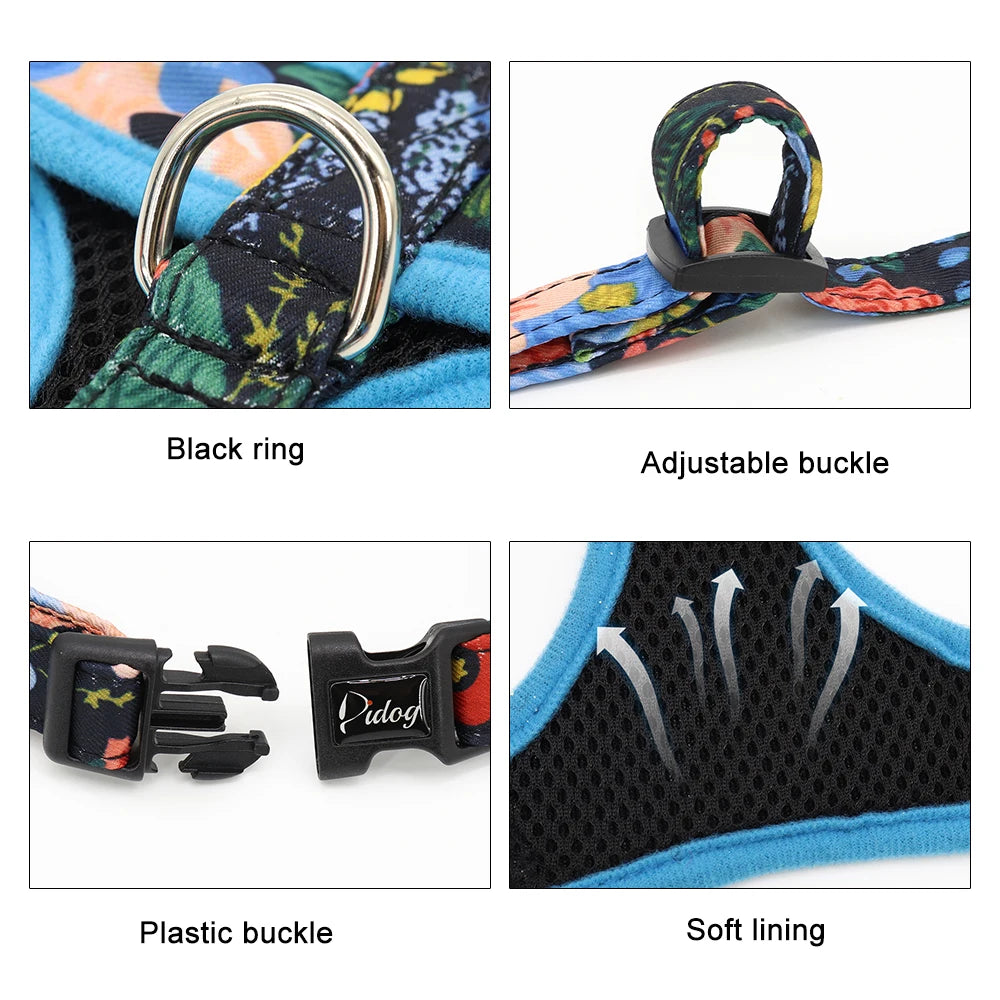 Padded Nylon Harness and Leash Set - Small Dogs