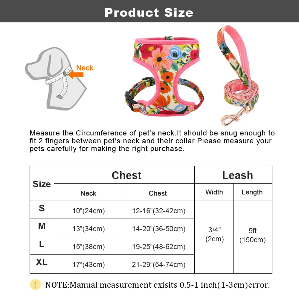 Padded Nylon Harness and Leash Set - Small Dogs