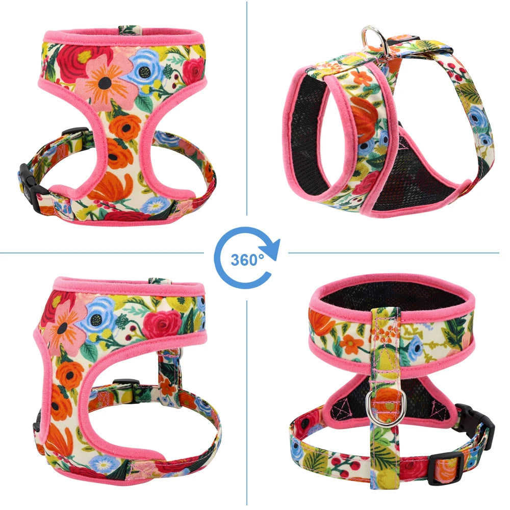Padded Nylon Harness and Leash Set - Small Dogs