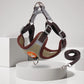 Reflective Padded Dog Harness - Small Breeds