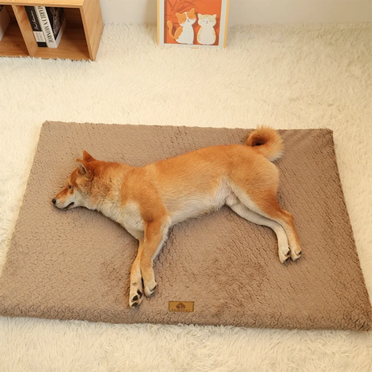 Memory Foam Orthopedic Dog Bed - Washable Cover