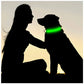 USB Charging Glowing Collar With Pendant