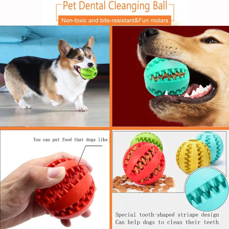 Hollow Rubber Dog Ball - Treat Dispenser Toy