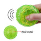 Interactive Rubber Ball - Durable TPR Dog Toy
