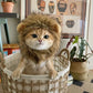 Cute Lion Mane Cat Costume