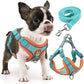 Reflective Padded Dog Harness - Small Breeds