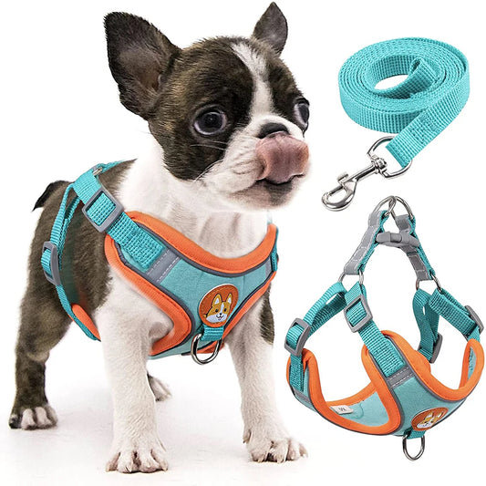 Reflective Padded Dog Harness - Small Breeds