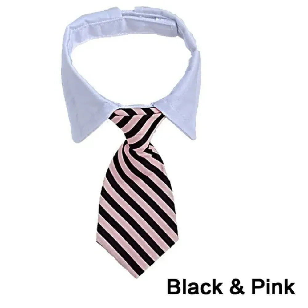 Formal Necktie Collar
