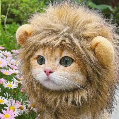 Cute Lion Mane Cat Costume