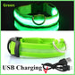 USB Charging Glowing Collar With Pendant