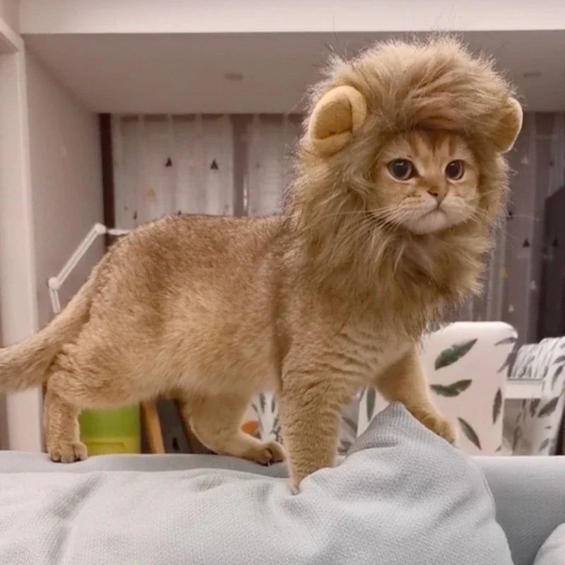 Cute Lion Mane Cat Costume
