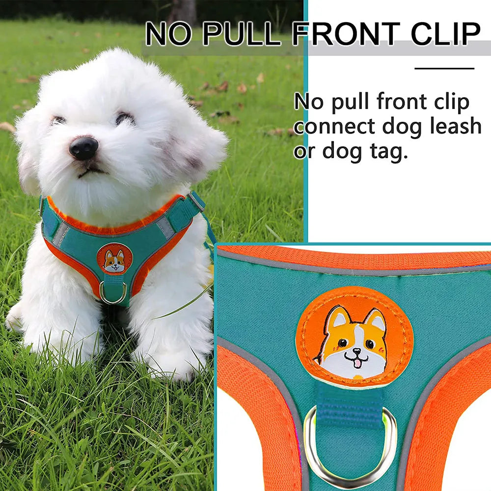 Reflective Padded Dog Harness - Small Breeds