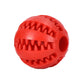 Hollow Rubber Dog Ball - Treat Dispenser Toy