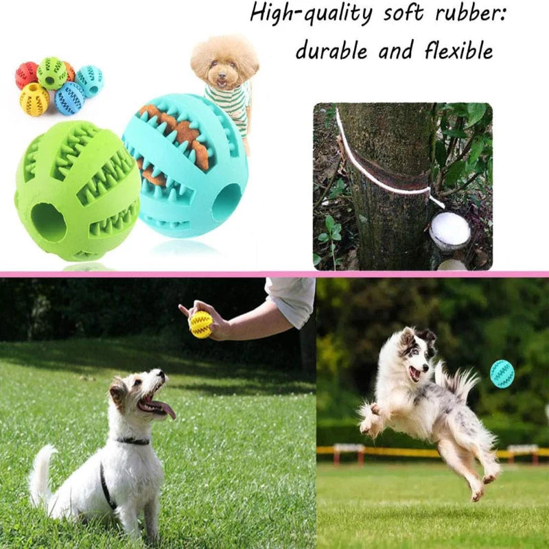 Hollow Rubber Dog Ball - Treat Dispenser Toy