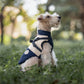 Winter Pet Vest - Semi-Fitted Dog Coat