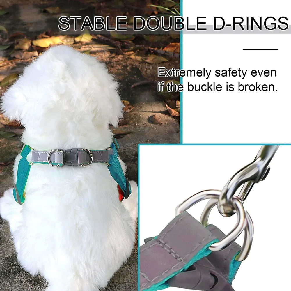 Reflective Padded Dog Harness - Small Breeds