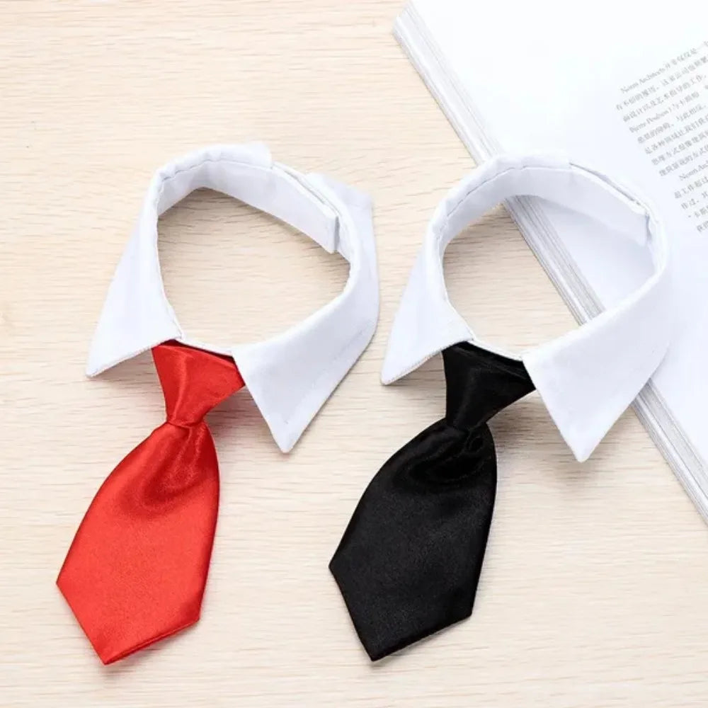 Formal Necktie Collar