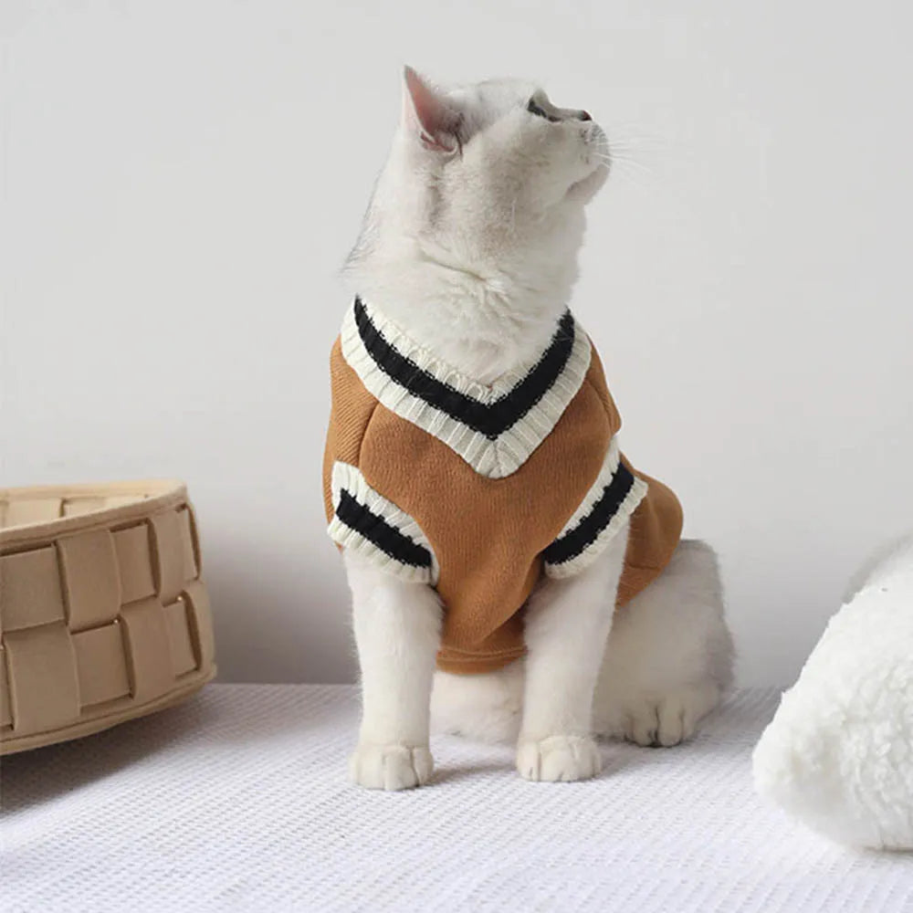 Cat Outfits