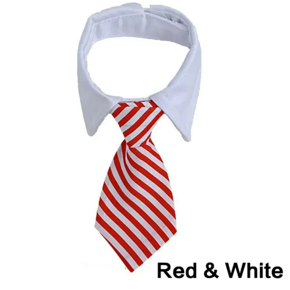 Formal Necktie Collar