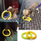 Pet Flying Disk - EVA Outdoor Fetch Toy