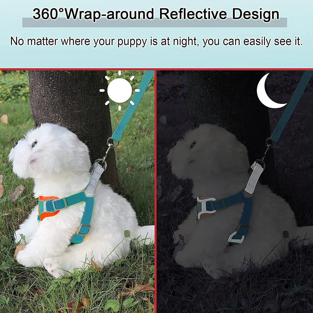 Reflective Padded Dog Harness - Small Breeds