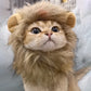 Cute Lion Mane Cat Costume