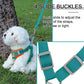 Reflective Padded Dog Harness - Small Breeds