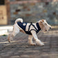 Winter Pet Vest - Semi-Fitted Dog Coat