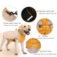 Waterproof Dog Vest - PP Cotton Blend