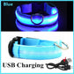 USB Charging Glowing Collar With Pendant