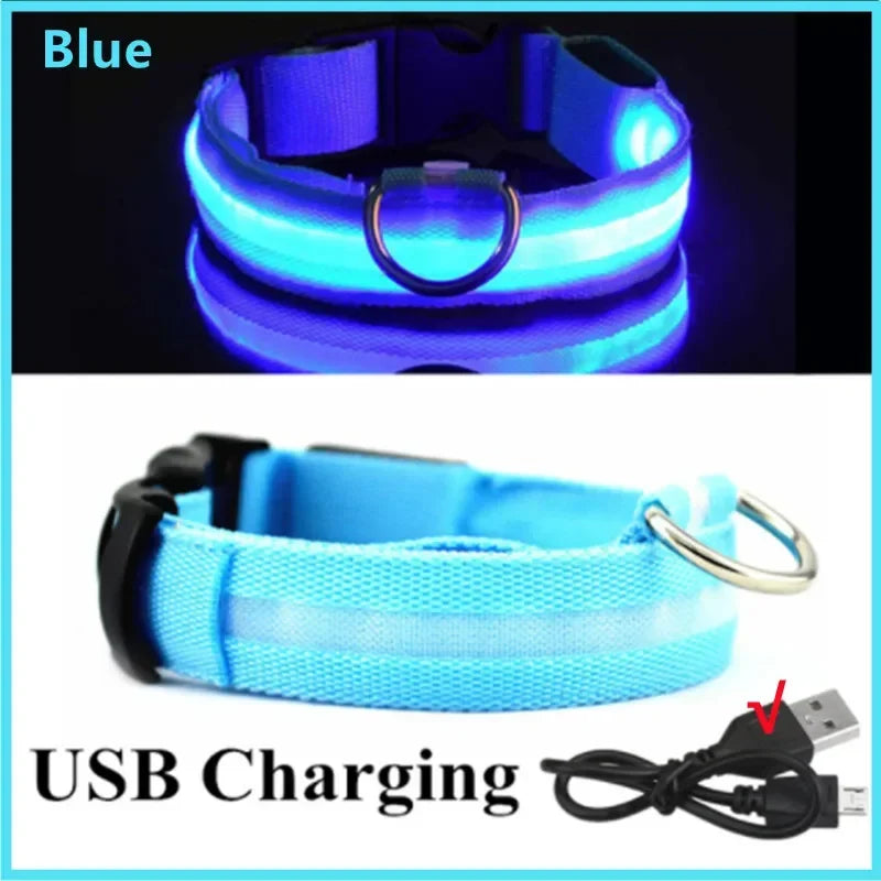 USB Charging Glowing Collar With Pendant